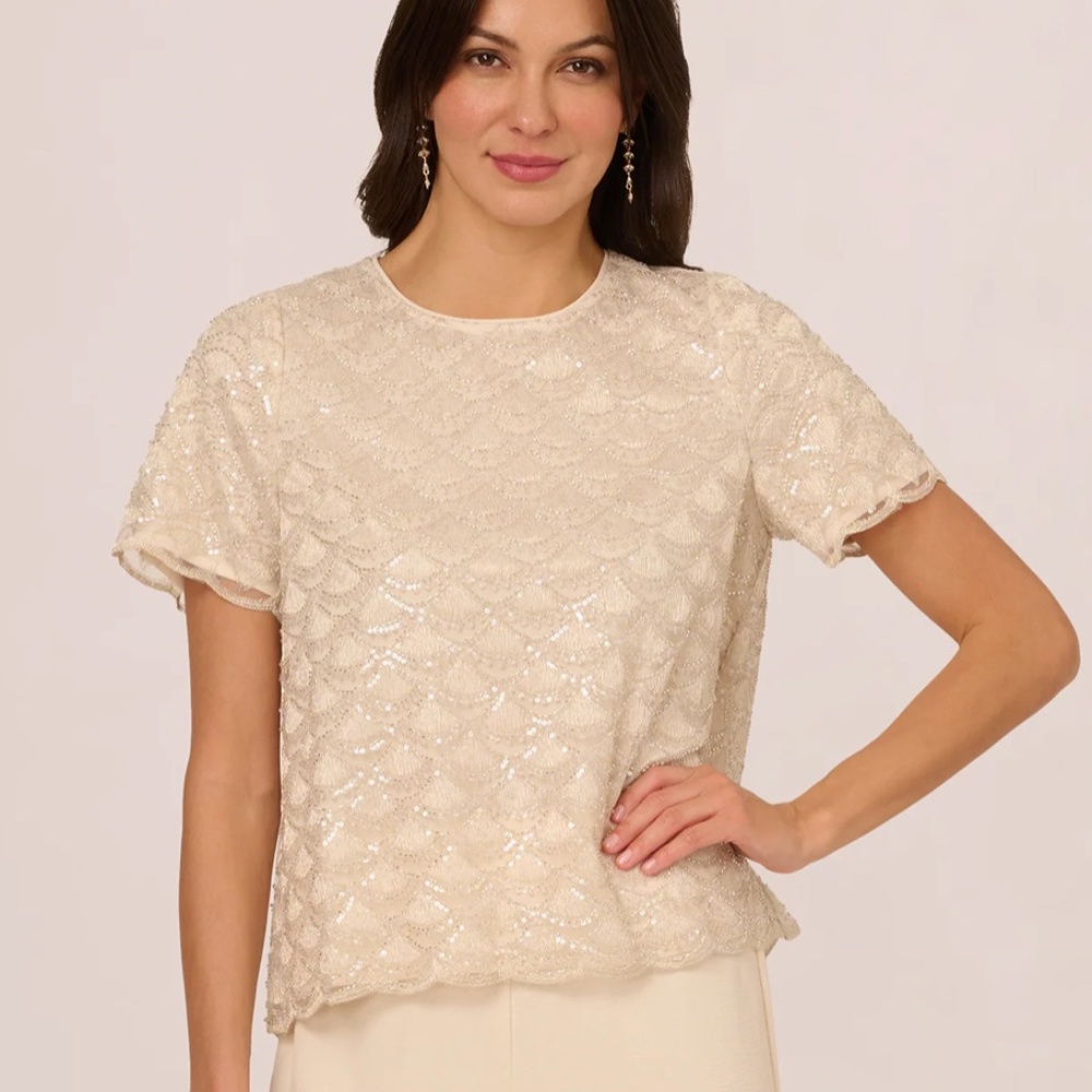 NWT Adrianna Papell Short sleeve sequin overlay top in pale taupe
